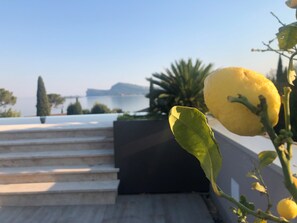 Detalle del exterior