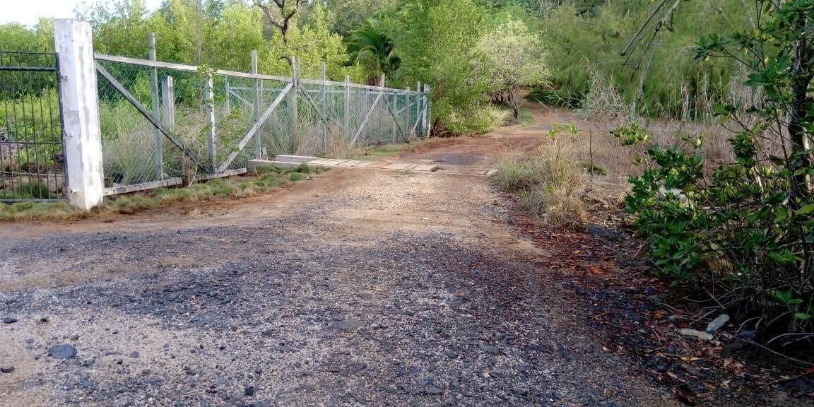 A gravel path leading to a gated area with a metal fence and wooden posts.