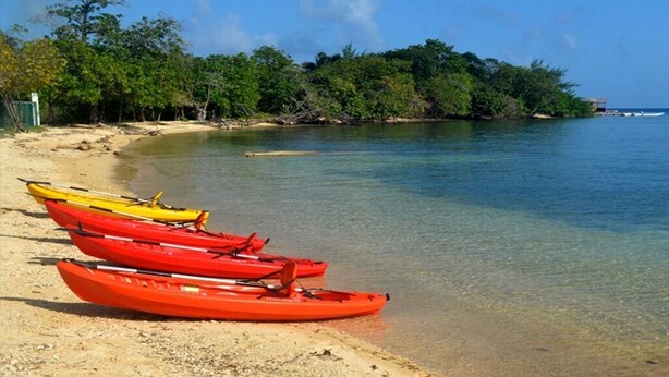Una playa con kayaks alineados en la arena, un cielo azul despejado y una isla boscosa al fondo.
