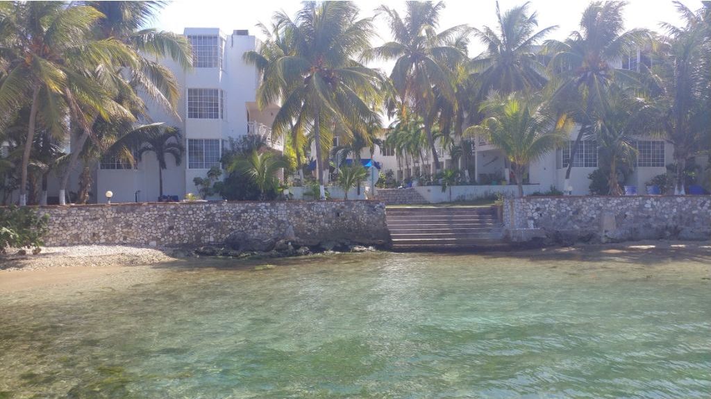 A beachfront property with a stone wall, palm trees, and a clear view of the ocean.
