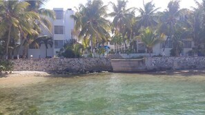 A beachfront property with a stone wall, palm trees, and a clear view of the ocean. - Chrisanns Hidden Cove 2 bdr apt, sleeps 5, pool, beach (Ocho Rios)
