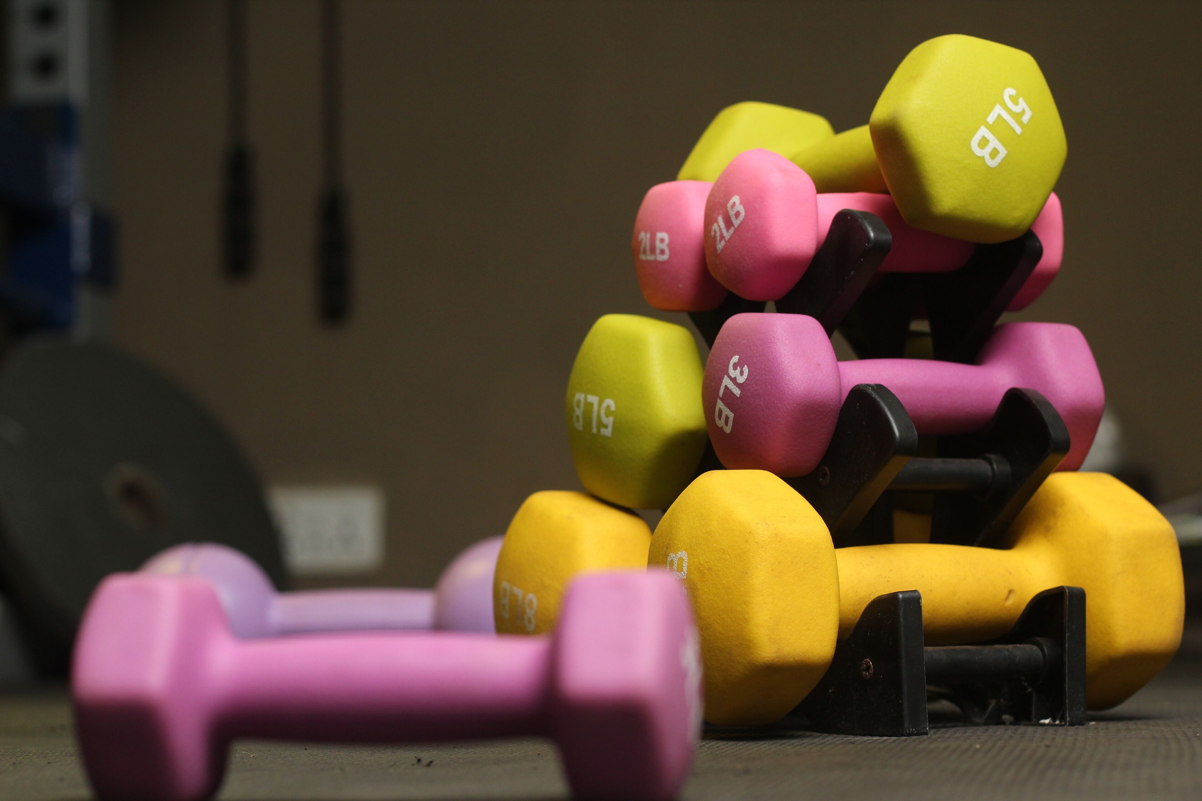 Photo - The Stafford Lodge