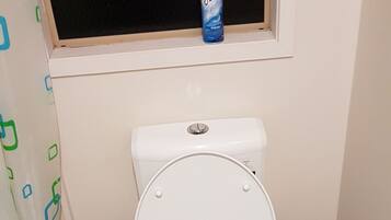 Combined shower/bathtub, free toiletries, hair dryer, towels