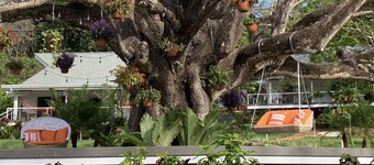 Aves Hotel & Resort - Retreat Center