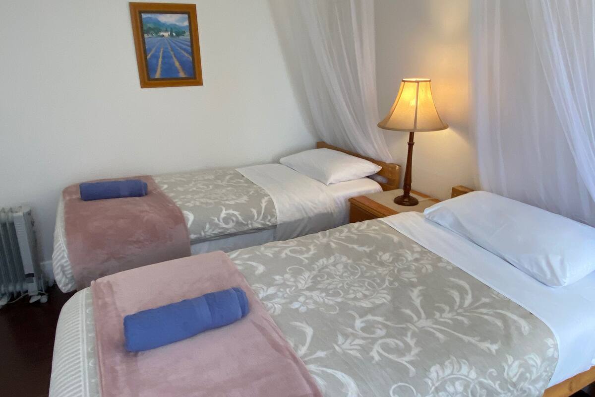 Una habitación de hotel con dos camas, cada una con una colcha y almohadas estampadas, una lámpara de noche y un cuadro en la pared.