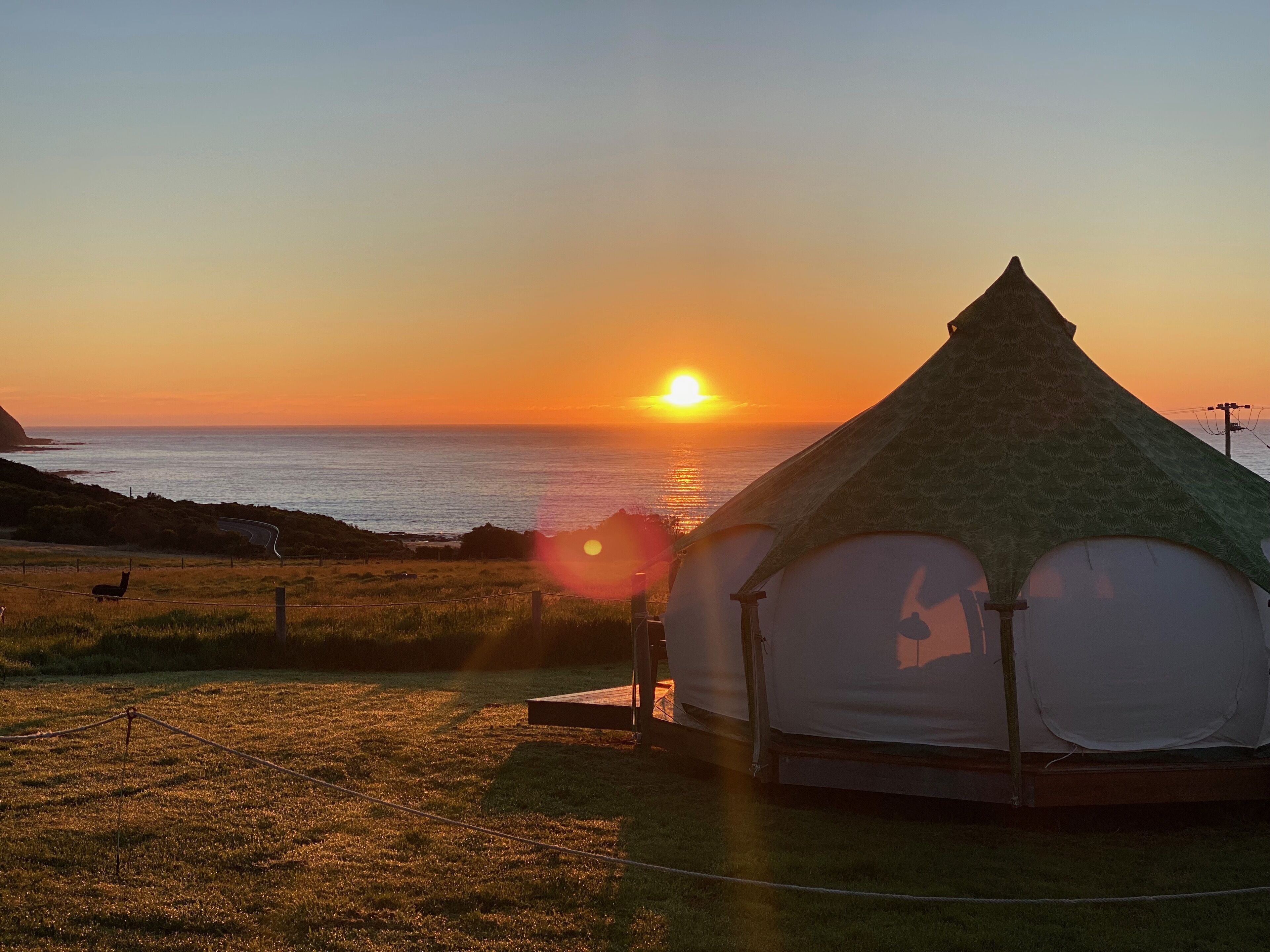 seacroft lotus belle, 1 king bed, ocean view, patio | 1 bedroom, individually decorated, individually furnished, bed sheets