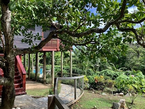 Terrein van de accommodatie