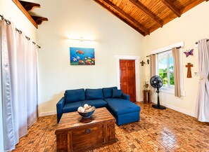 Smart TV, DVD player, books, video library