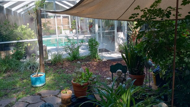 Un invernadero con techo de vidrio, una piscina y diversas plantas en macetas.