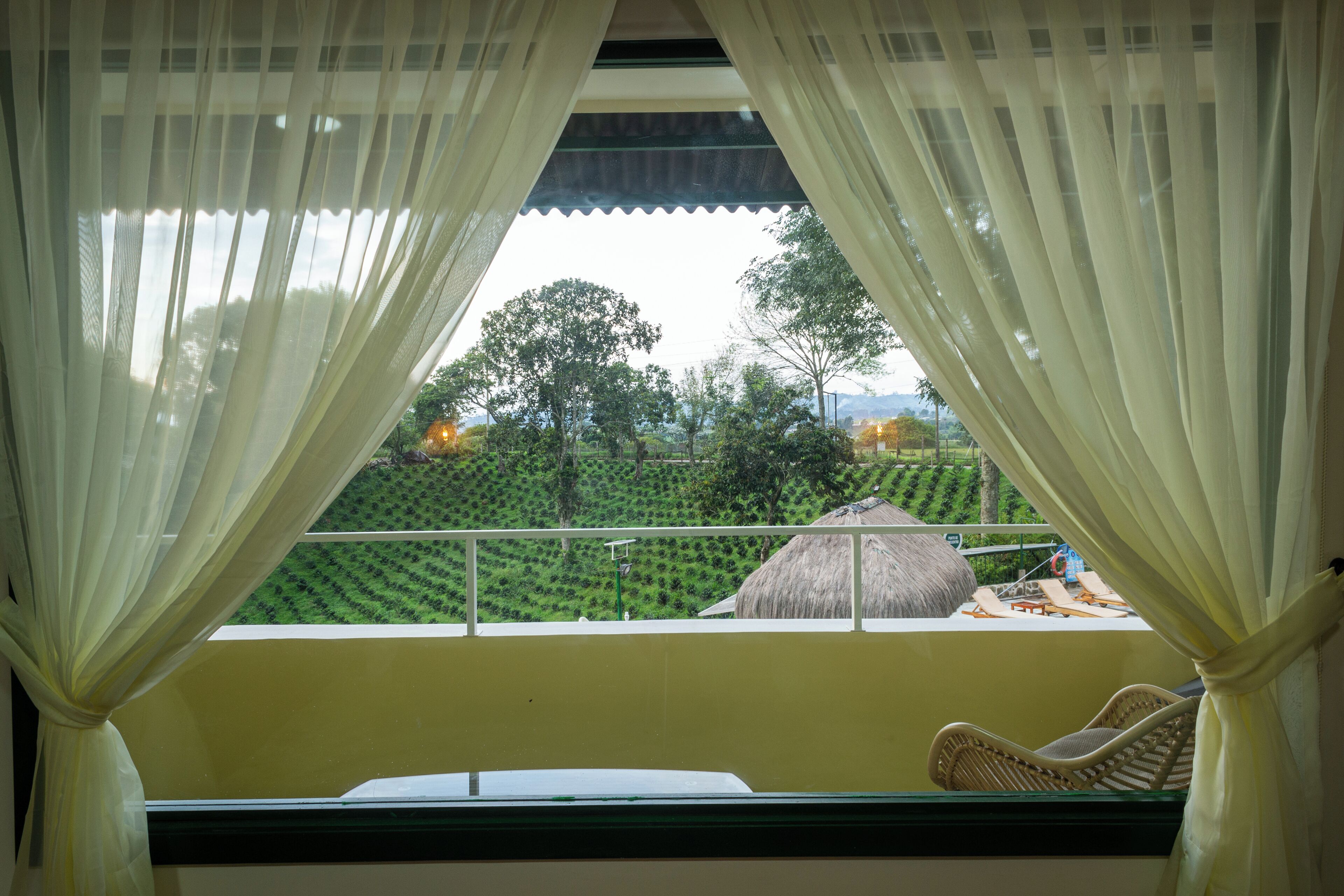 A room with a view of a green landscape through sheer curtains.