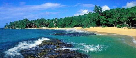 In Strandnähe, Strandtücher