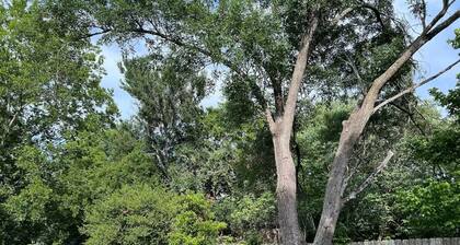 The FC House- 3bd / 2ba Minutes to Domain / Downtown