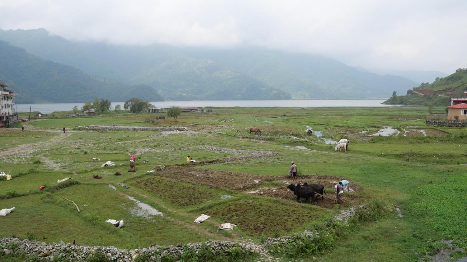 Kawasan hartanah