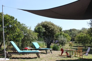 Property grounds - Detached villa T4 in orchard 10 km from the sea (GHISONACCIA)