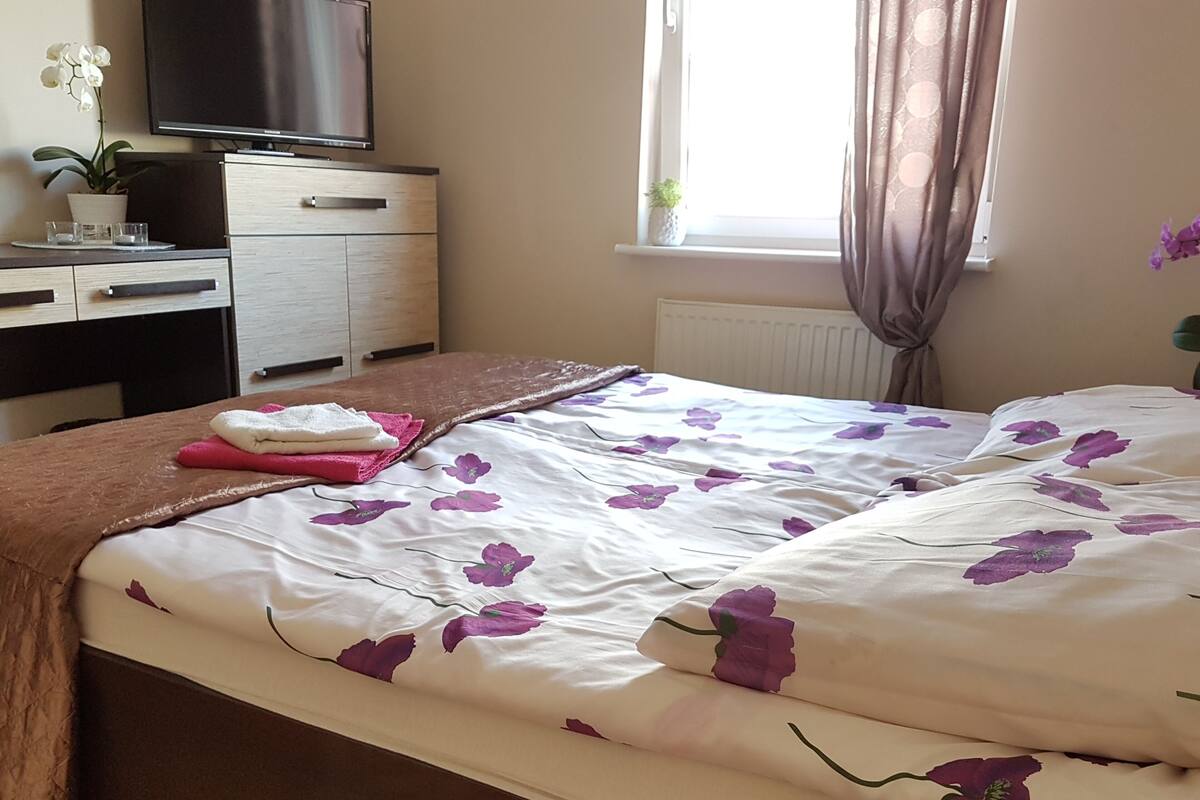 Iron/ironing board, cribs (surcharge), WiFi (free), bed sheets