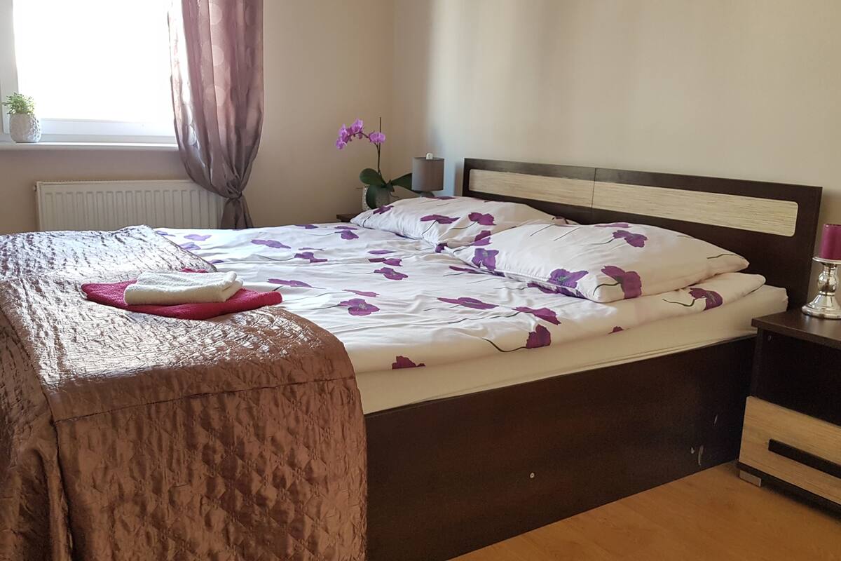Iron/ironing board, cribs (surcharge), WiFi (free), bed sheets