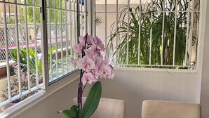 Una orquídea en maceta sobre una mesa de vidrio, con vistas a un balcón y plantas exteriores visibles a través de una ventana con barrotes.