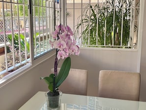 Dining - Apartment with large garden terrace near the center (Sevilla)