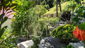 Ein Garten mit verschiedenen Pflanzen und einem Holzzaun.