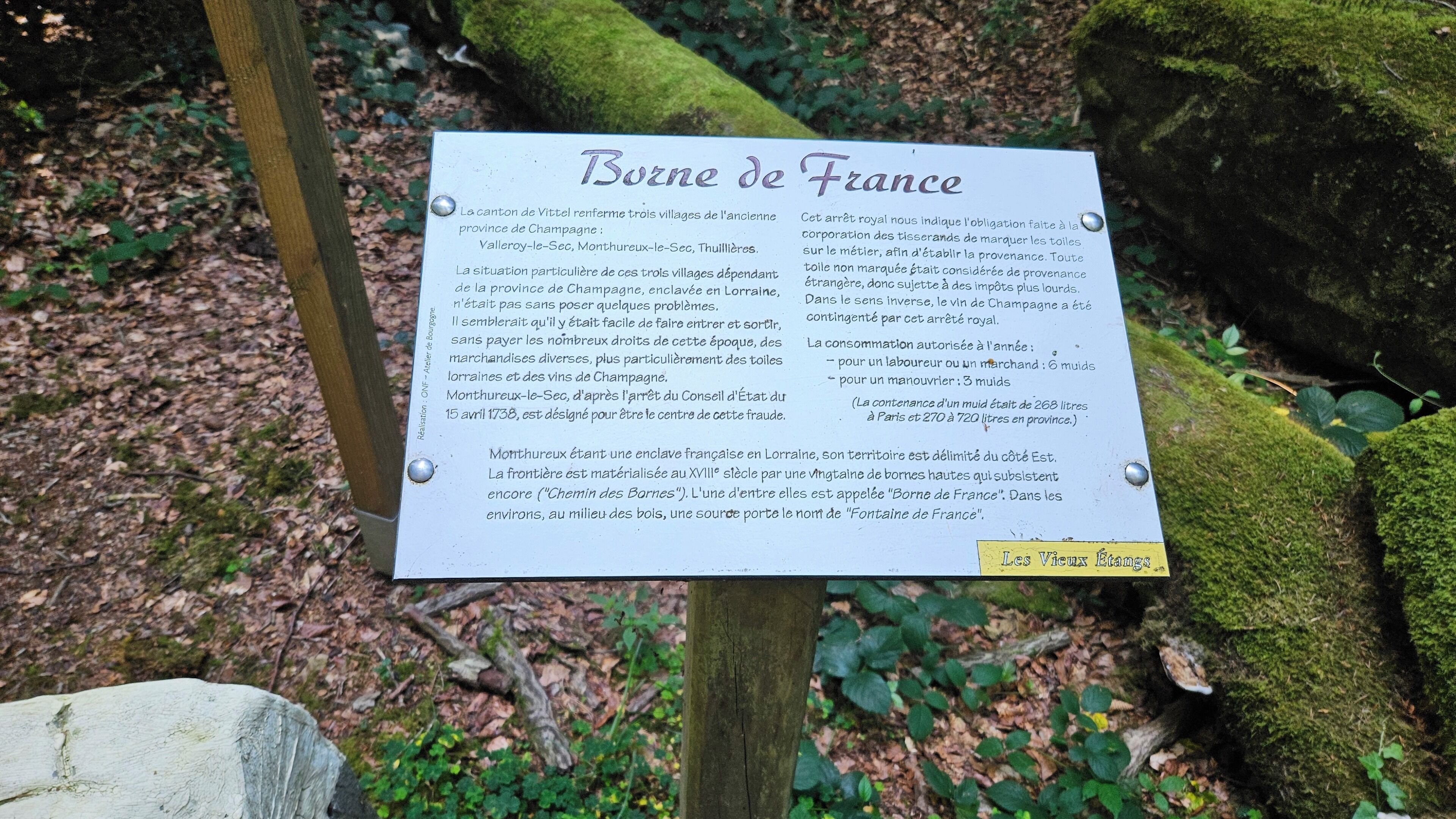 Ein Schild mit historischen Informationen über Borne de France, umgeben von Grünpflanzen und moosbewachsenen Felsen.