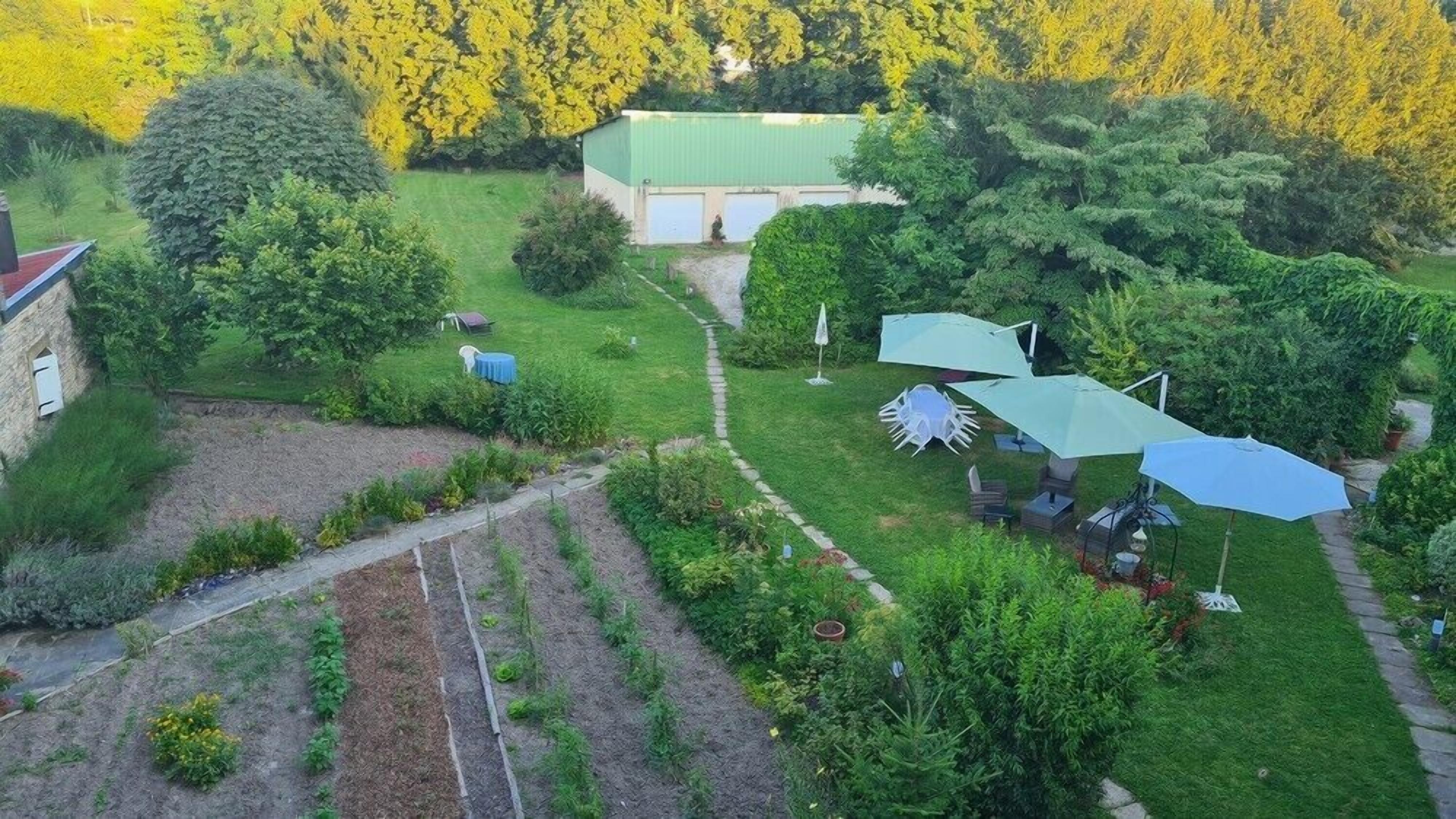 A garden with a green building, a windmill, and a paved area with plants.
