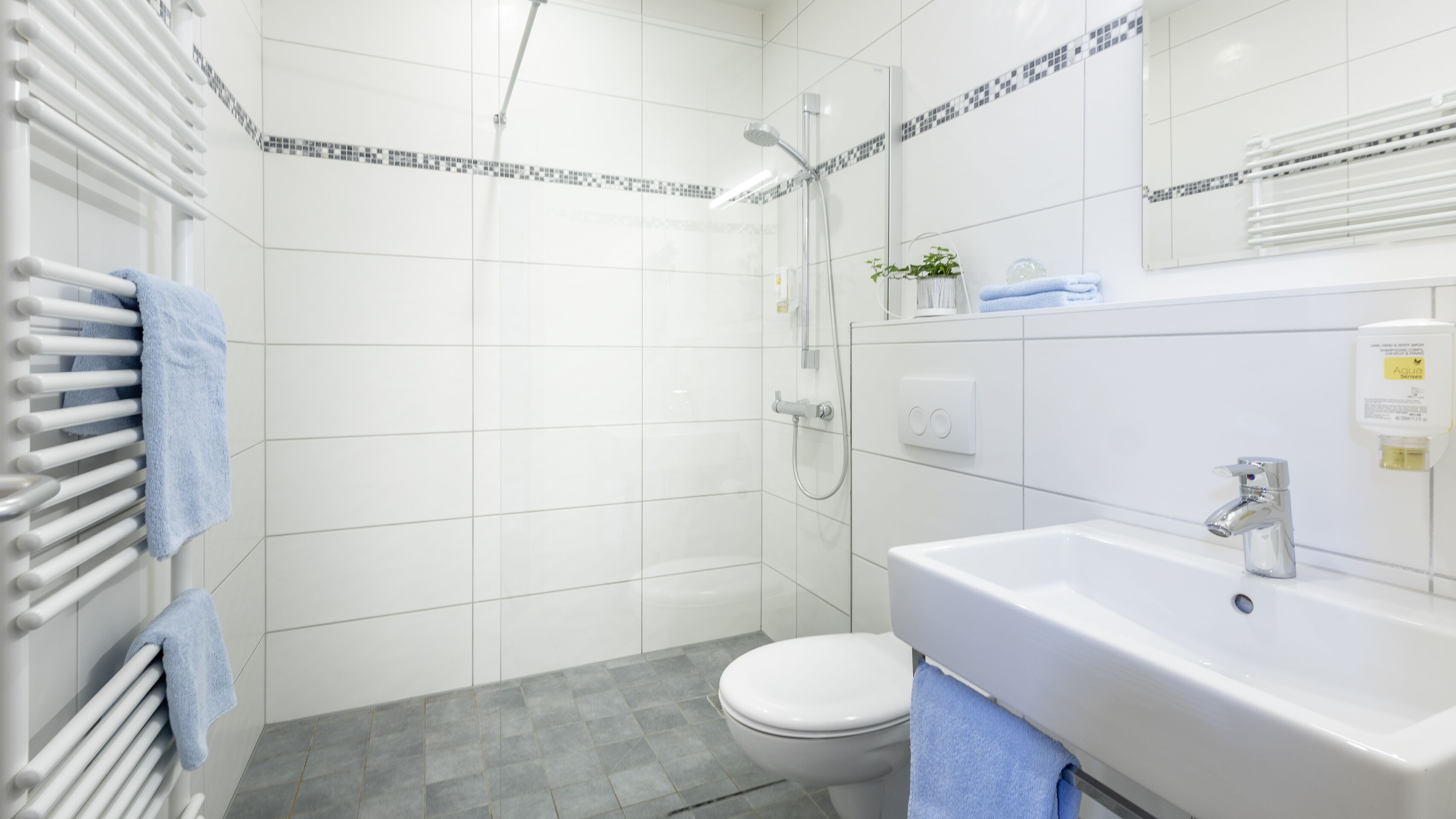 deluxe double room | bathroom | shower, hair dryer, towels, soap