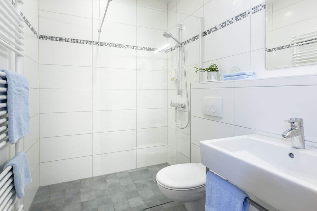 deluxe double room | bathroom | shower, hair dryer, towels, soap