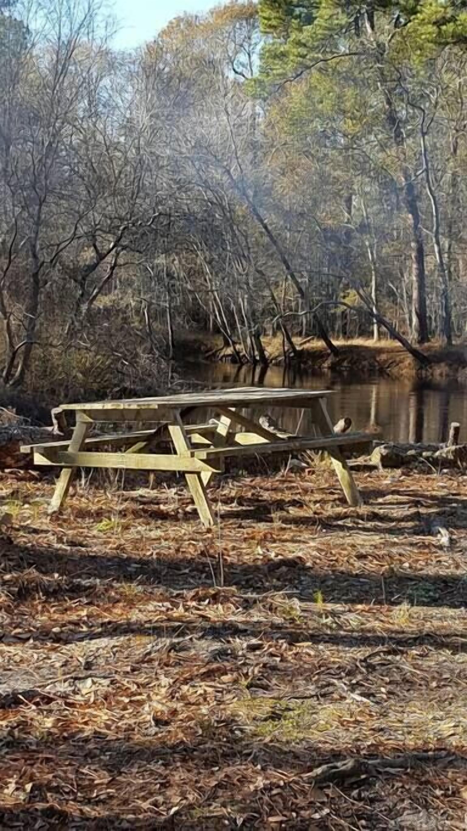 Una mesa de picnic en un área boscosa, con un estanque al fondo.