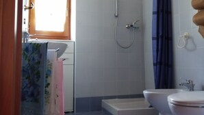 Een badkamer met een douche, toilet en wastafel.