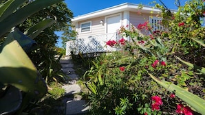 Ein Haus mit weißer Fassade, umgeben von üppigem Grün und leuchtend rosa Blumen.