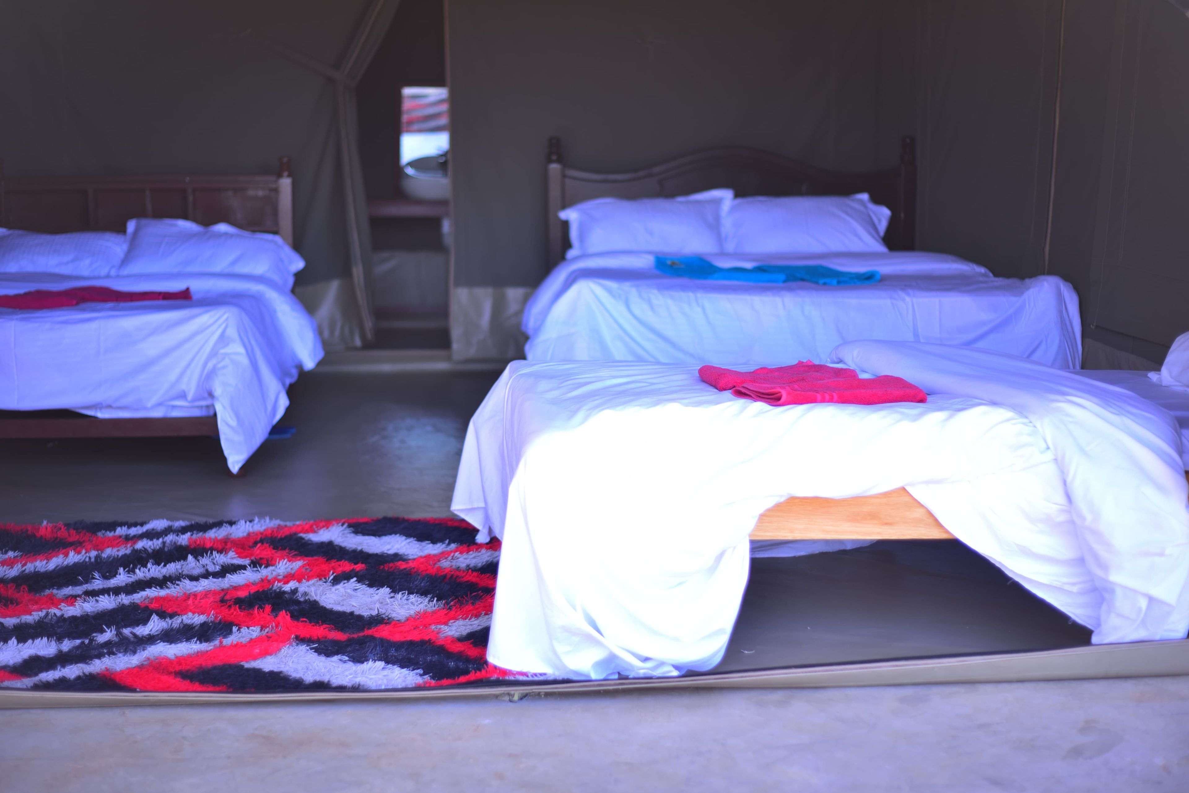 A room with two beds, each with white bedding and a blue blanket. There is a patterned rug on the floor.