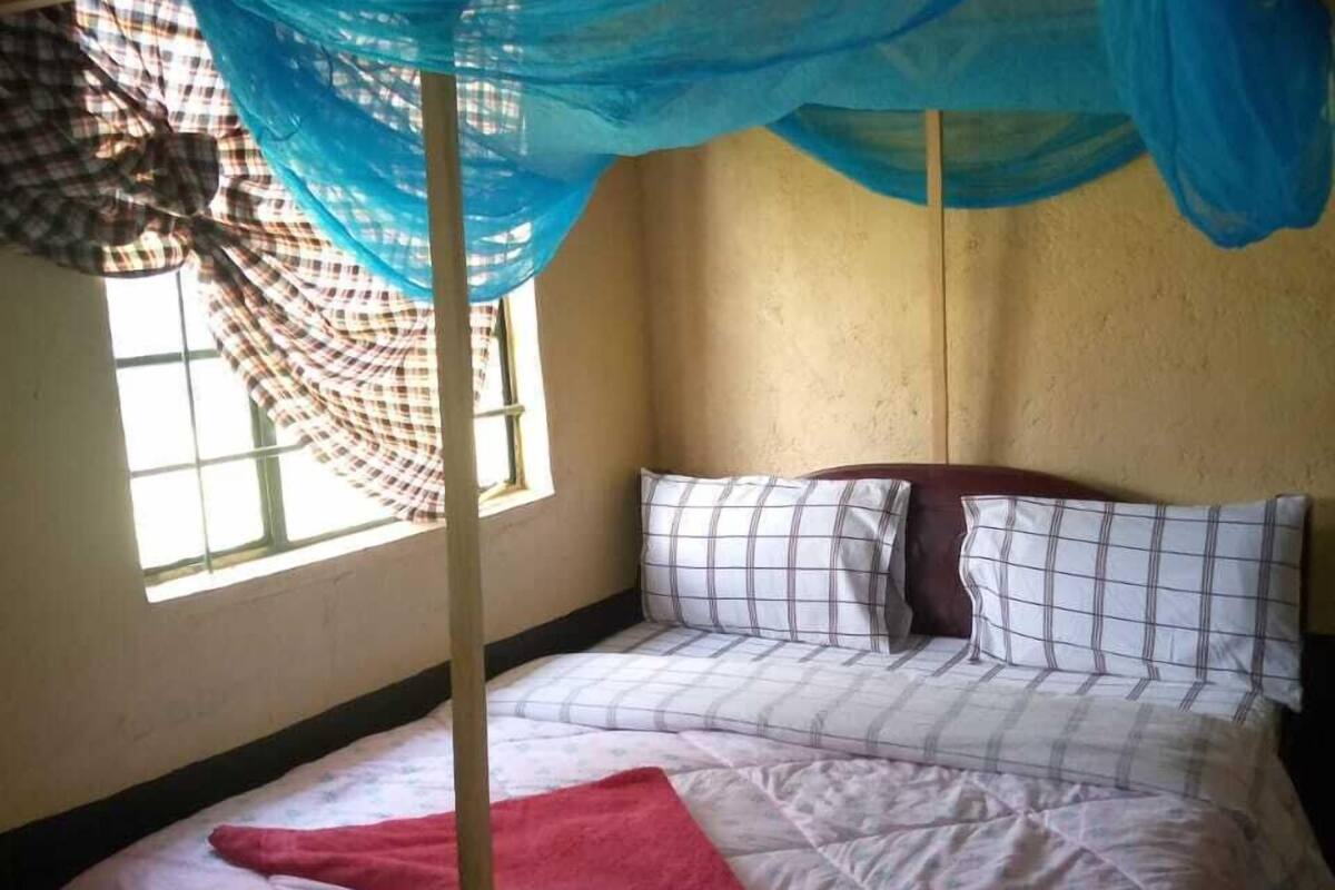 Desk, WiFi (free), bed sheets