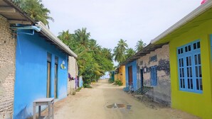 Una calle estrecha flanqueada por edificios coloridos, un sendero de tierra y palmeras.