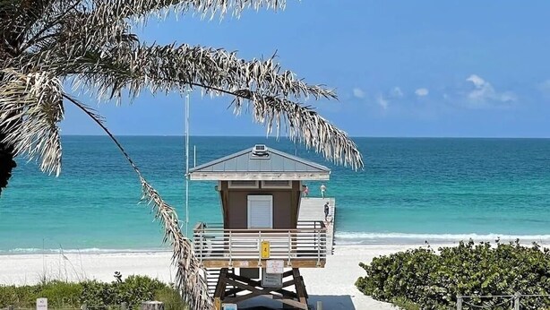 A lifeguard tower on a beach with clear blue water and a palm tree in the foreground.