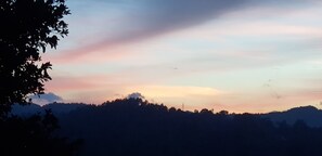 Deluxe-Suite | Ausblick vom Zimmer