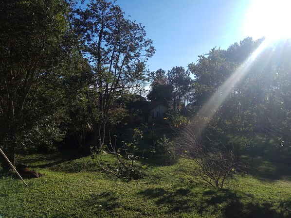 A grassy area with trees and a house in the background. - Country house for rent (São Roque)