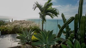 Un jardín costero con diversas plantas, entre ellas cactus y palmeras, con vistas al mar.