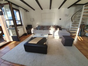 TV, caminetto, tavolo da ping pong, impianto stereo