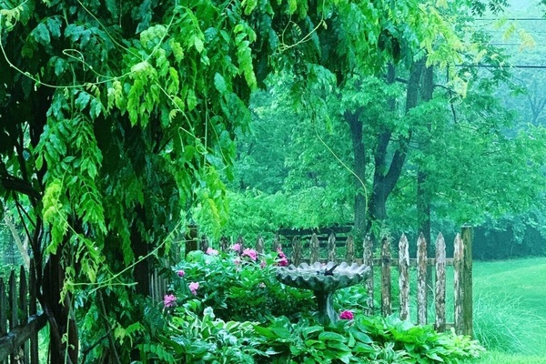 Overnatningsstedets område