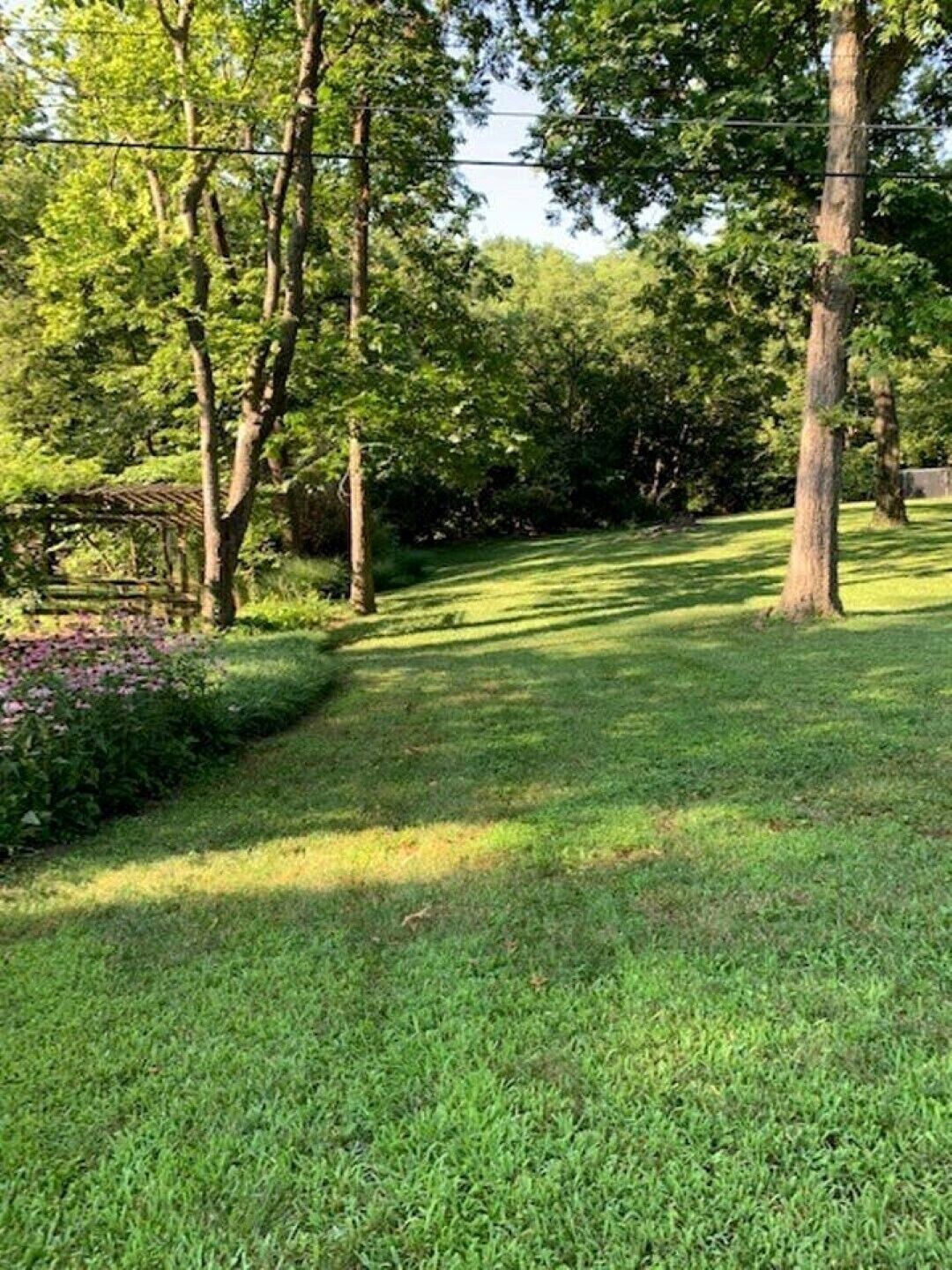 A grassy area with trees and a wooden pergola.