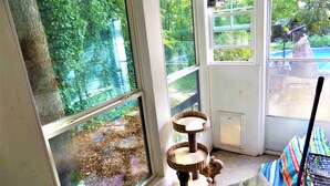 A room with large windows, a cat tree, and a colorful cushion. - Large 3/4 bedroom Valley View House with Outdoor Space, Pool and Storm Shelter (Jonesboro)