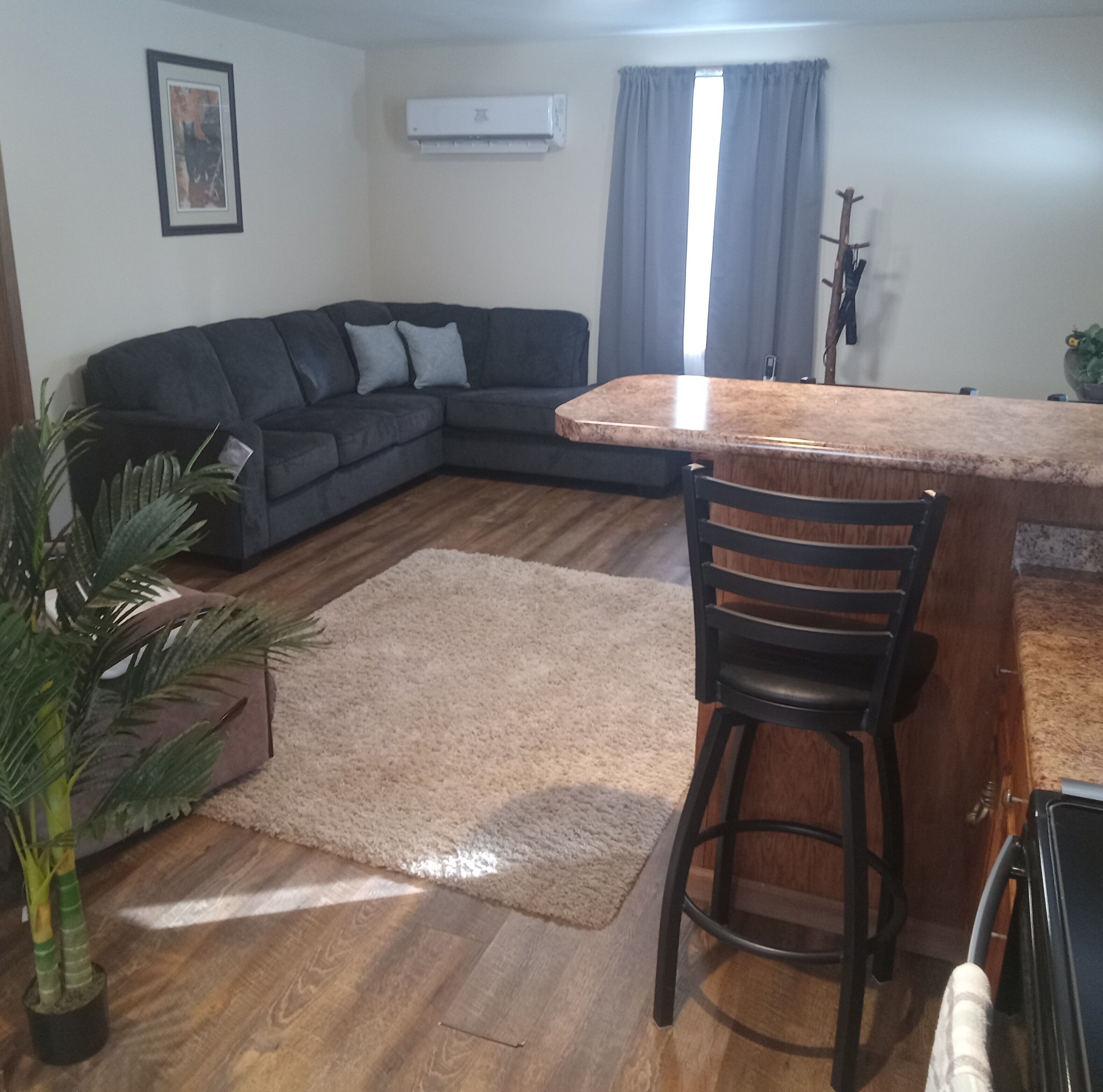 A living room with a dark-colored sofa, a wooden coffee table, a small bar area, a potted plant, and a large window with curtains.