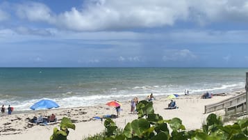 Sun-loungers, beach towels