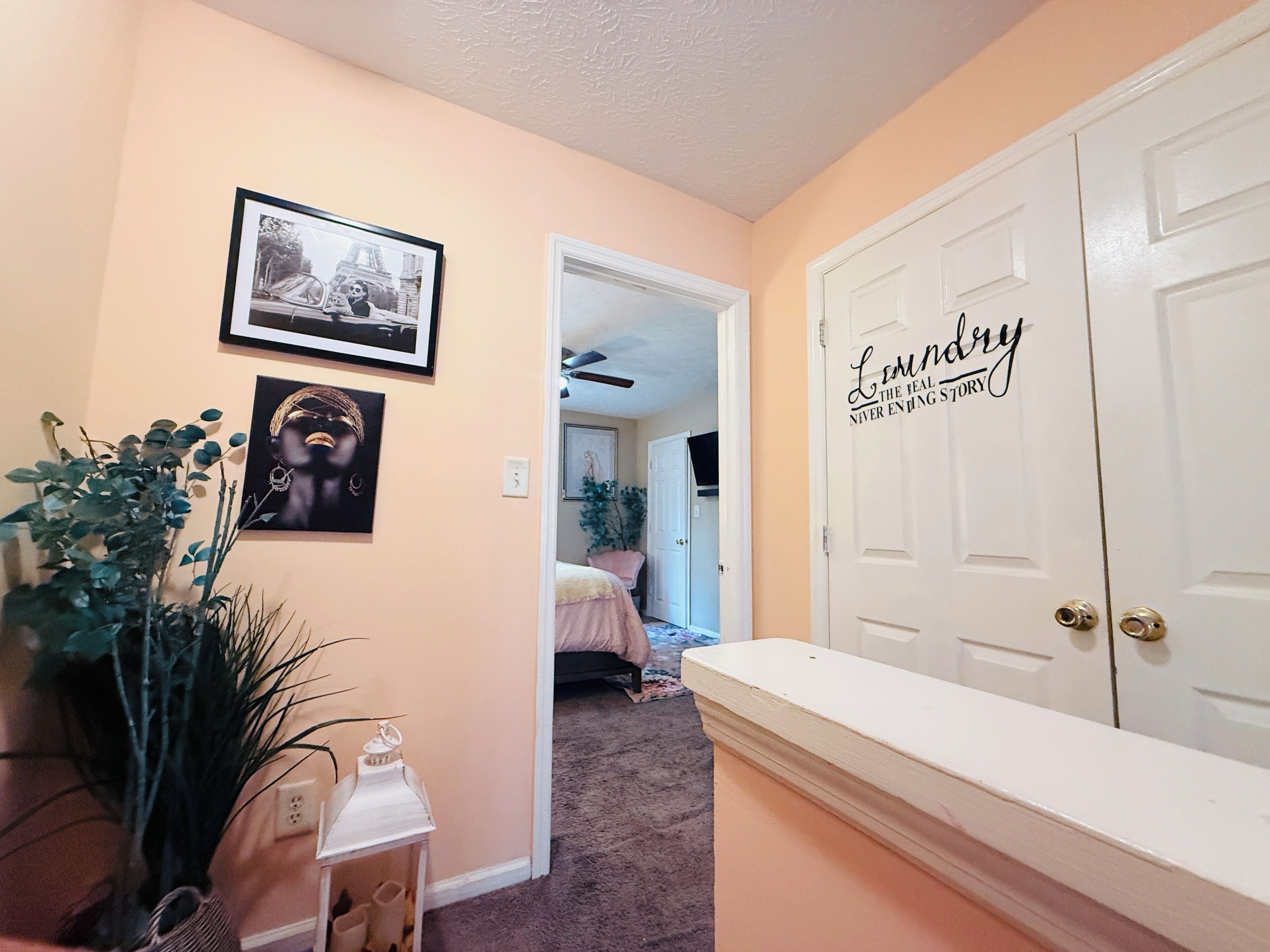 A hallway with a door labeled 'Laundry,' a framed picture, and a plant.
