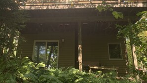 Une maison en bois à deux étages, dotée d’un porche abrité, entourée d’une végétation luxuriante composée de fougères et d’arbres.