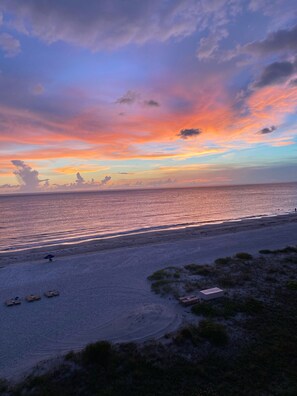 On the beach, sun-loungers, beach towels - Chateaux #406 Charming Beachfront Retreat with spectacular views! (Indian Shores)