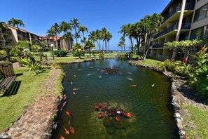 Property grounds - PK D108 Spacious Condo at BeachFront Resort (Lahaina)