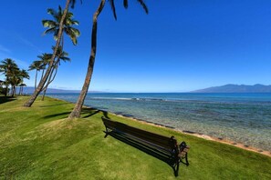 A bench by a clear blue ocean with palm trees and a mountain in the background.