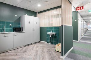 Ducha, artículos de higiene personal ecológicos, secador de pelo y bidé