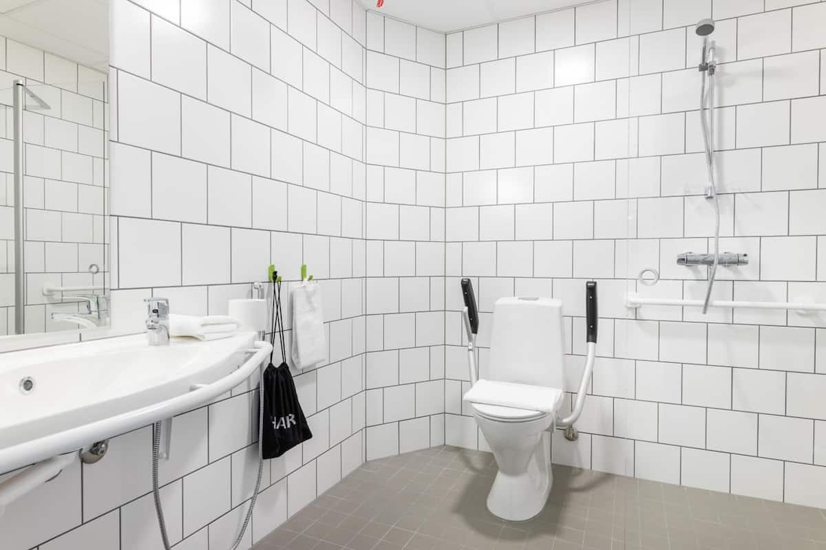 shower, eco-friendly toiletries, hair dryer, bidet